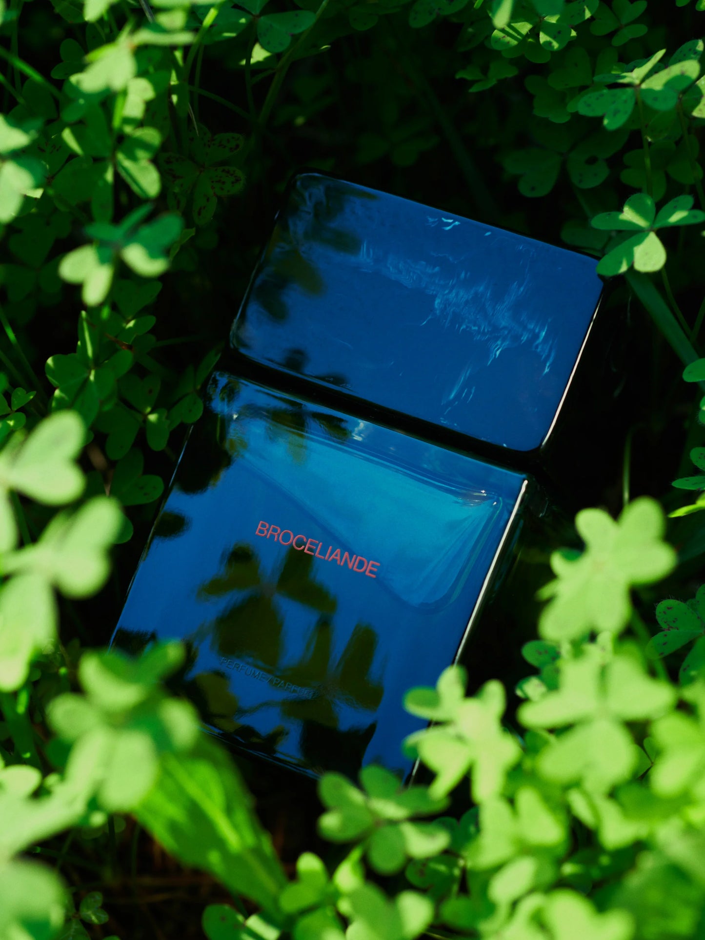 Broceliande Extrait - Decant / Sample