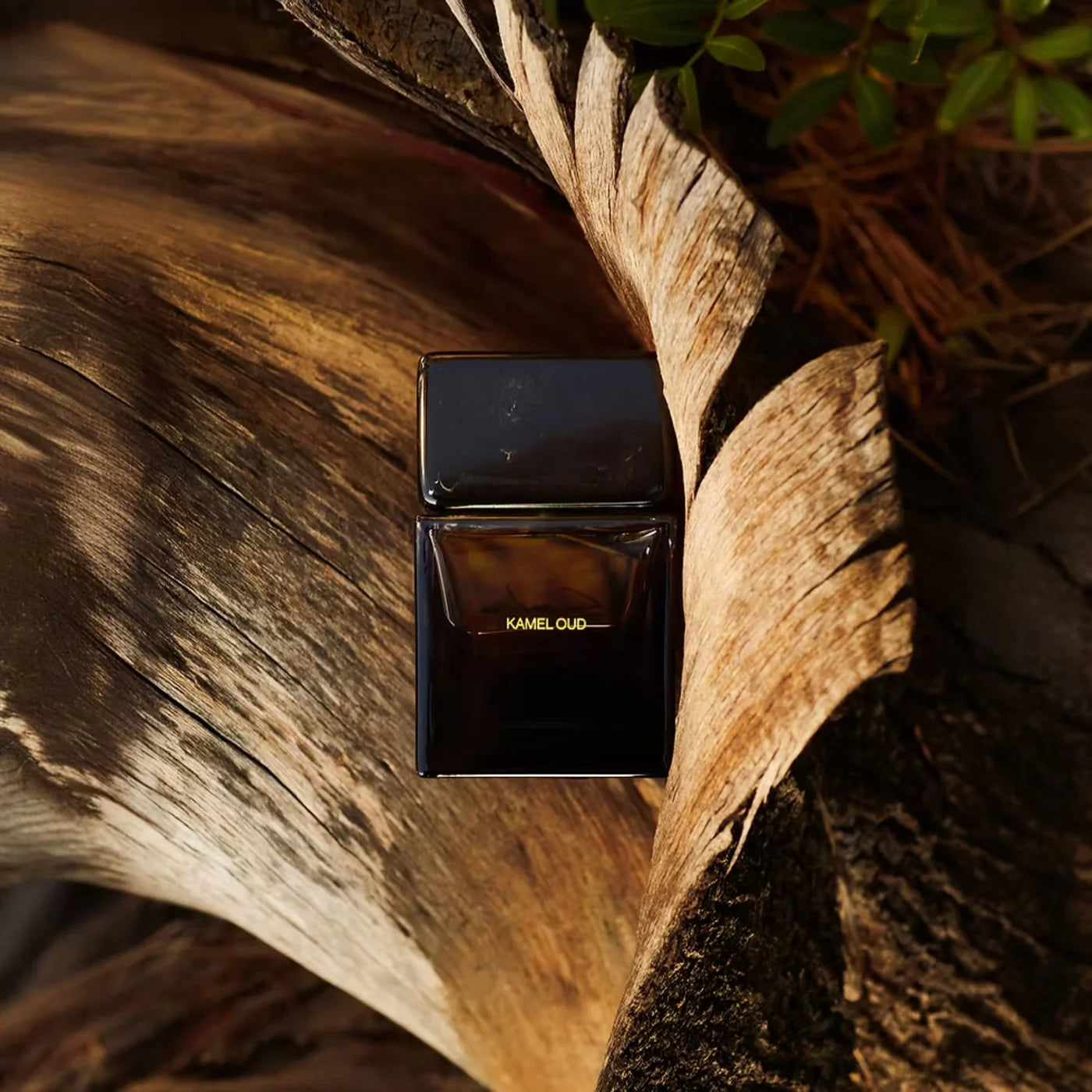 Kamel Oud Extrait - Decant / Sample
