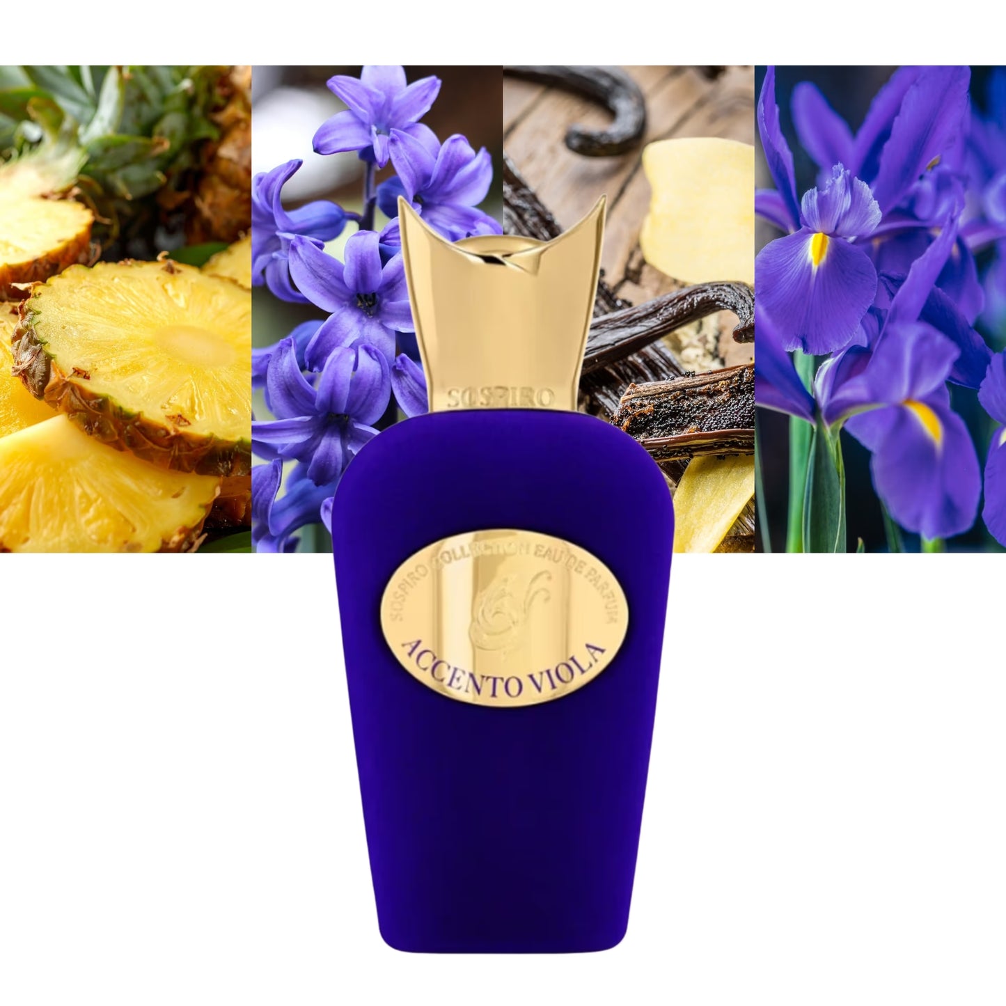 Accento Viola - Decant / Full Bottle