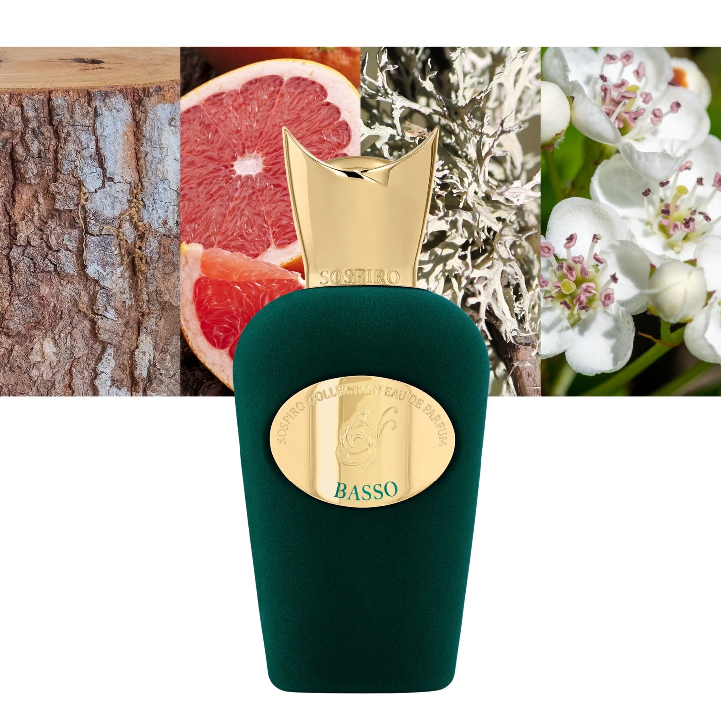 Basso - Decant / Full Bottle