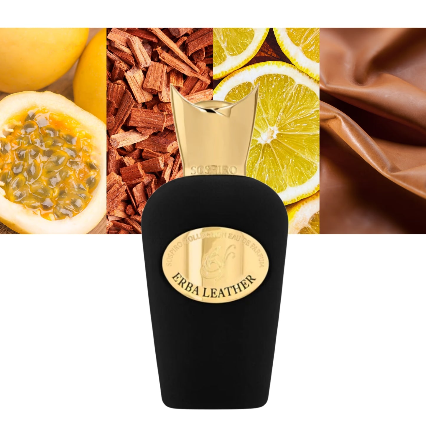 Erba Leather - Decant / Full Bottle