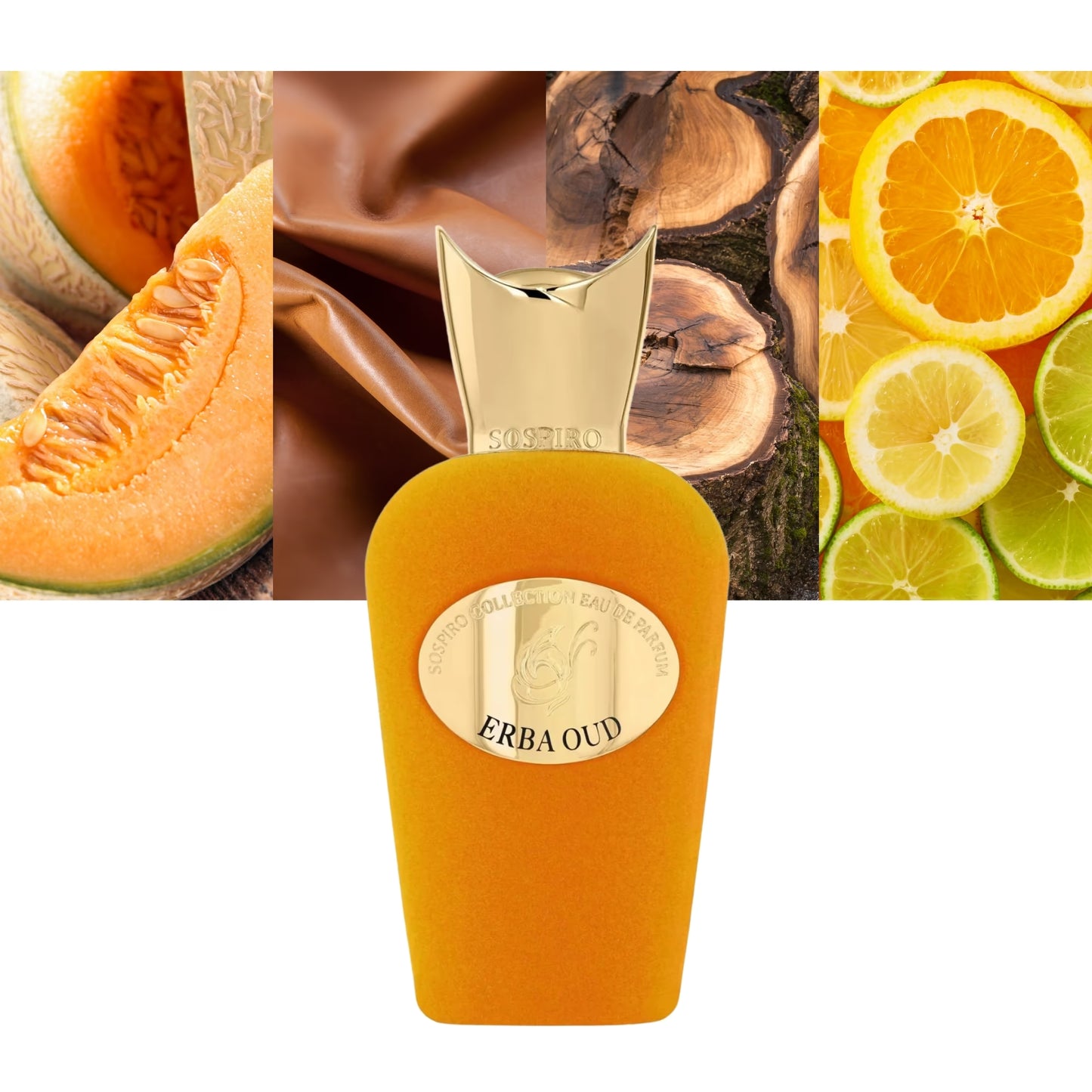 Erba Oud - Decant / Full Bottle