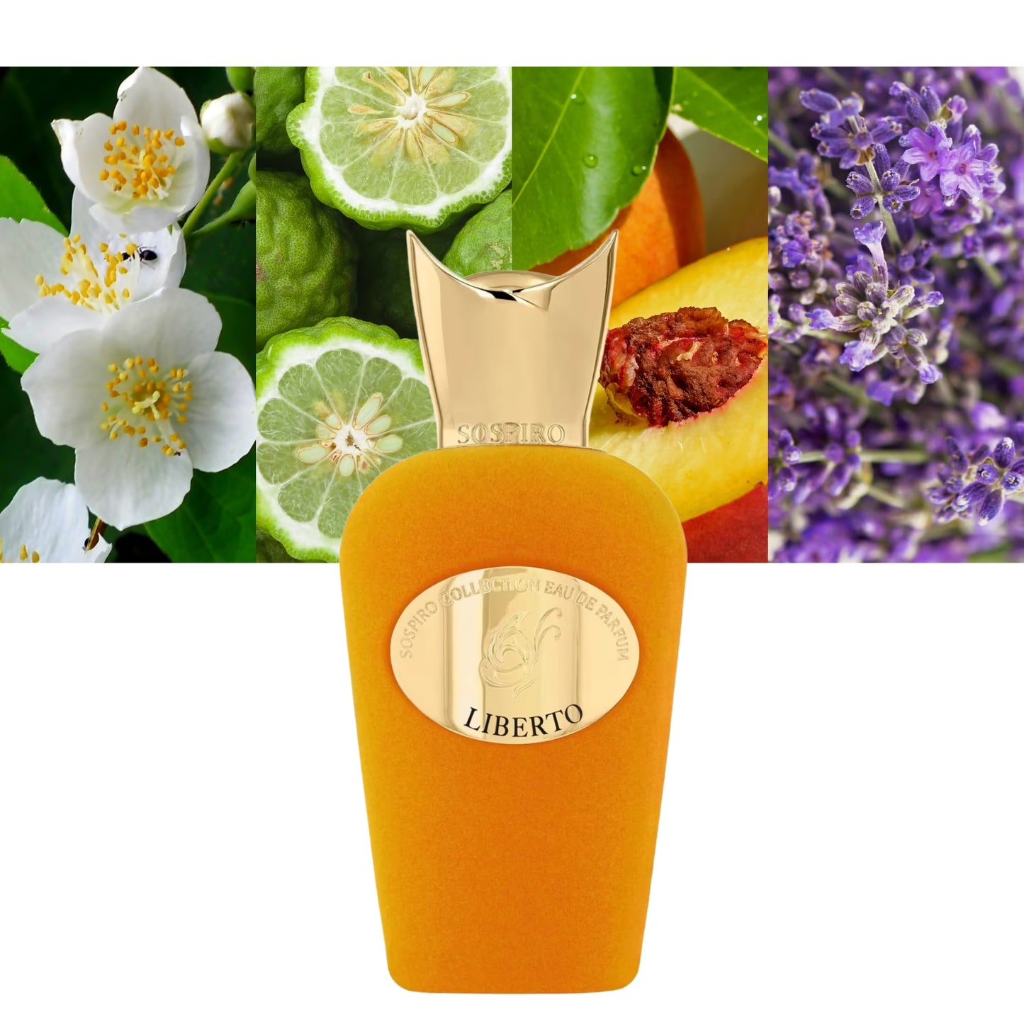 Liberto - Decant / Full Bottle