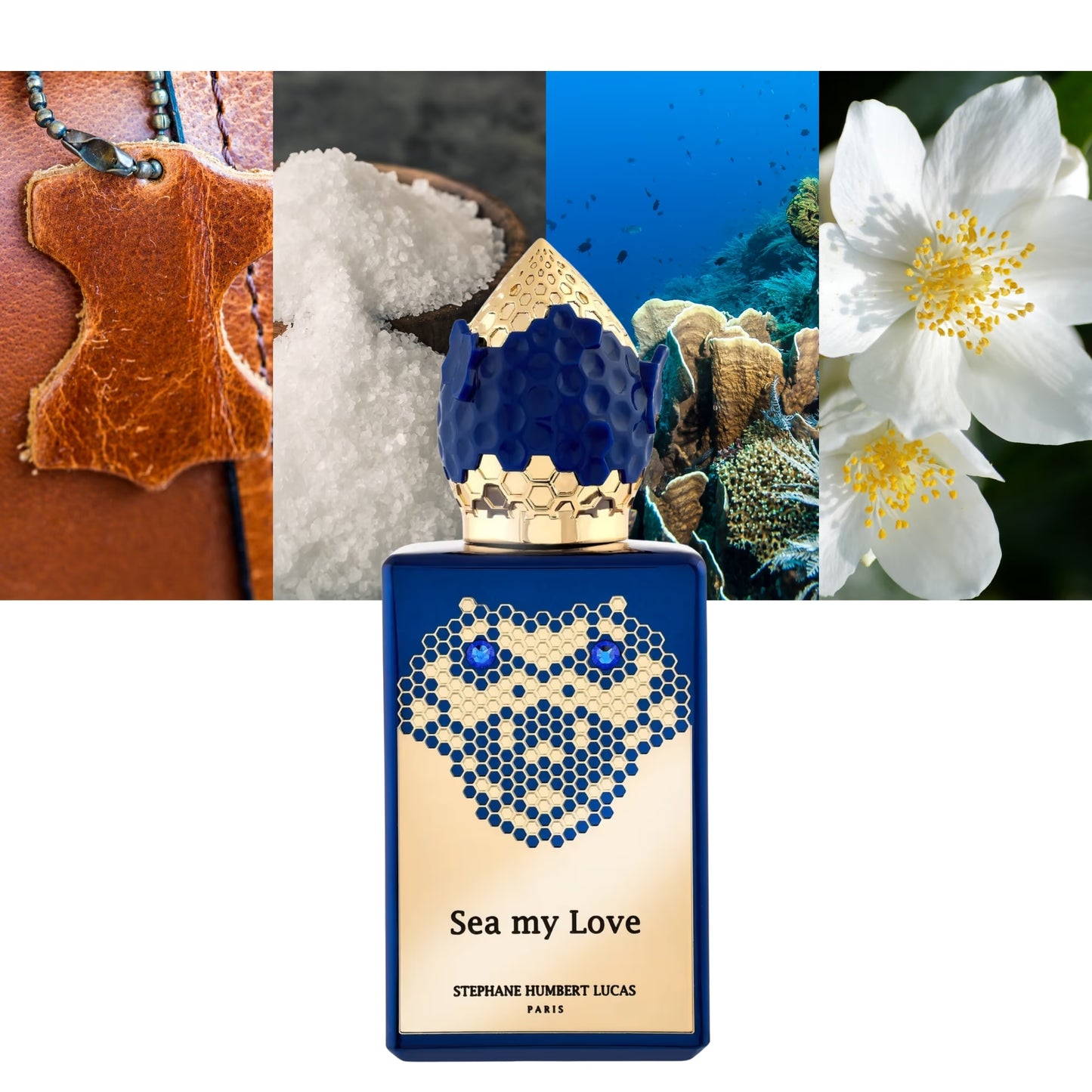 Sea My Love - Decant / Full Bottle