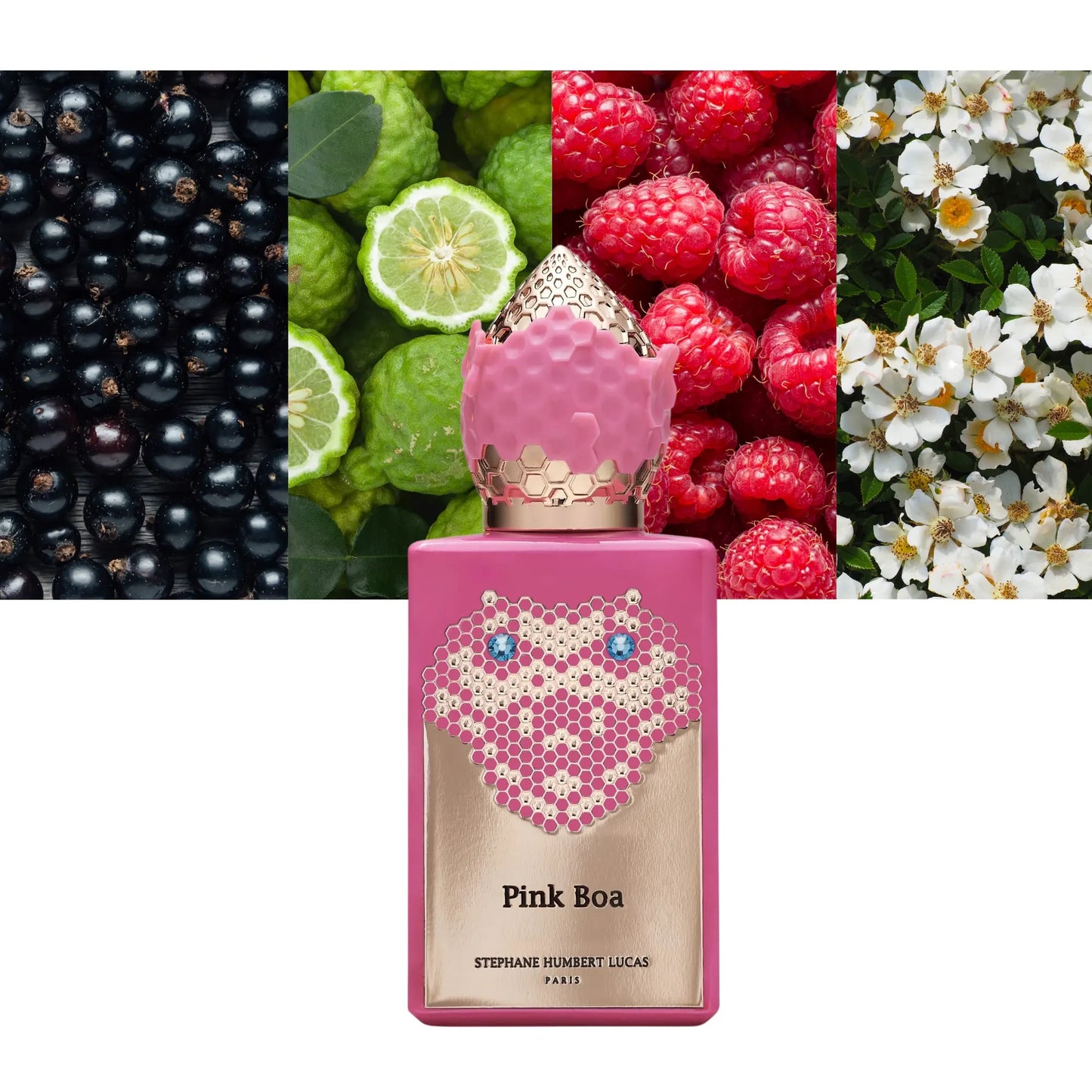 Pink Boa - Decant / Full Bottle