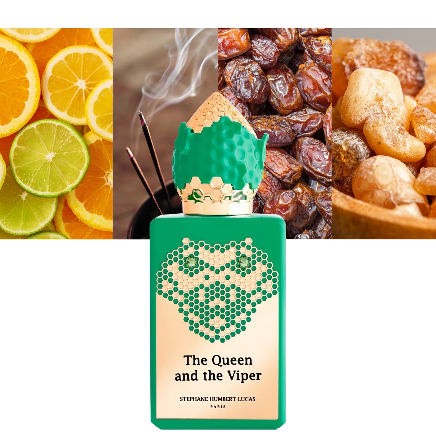 The Queen and the Viper - Decant / Full Bottle