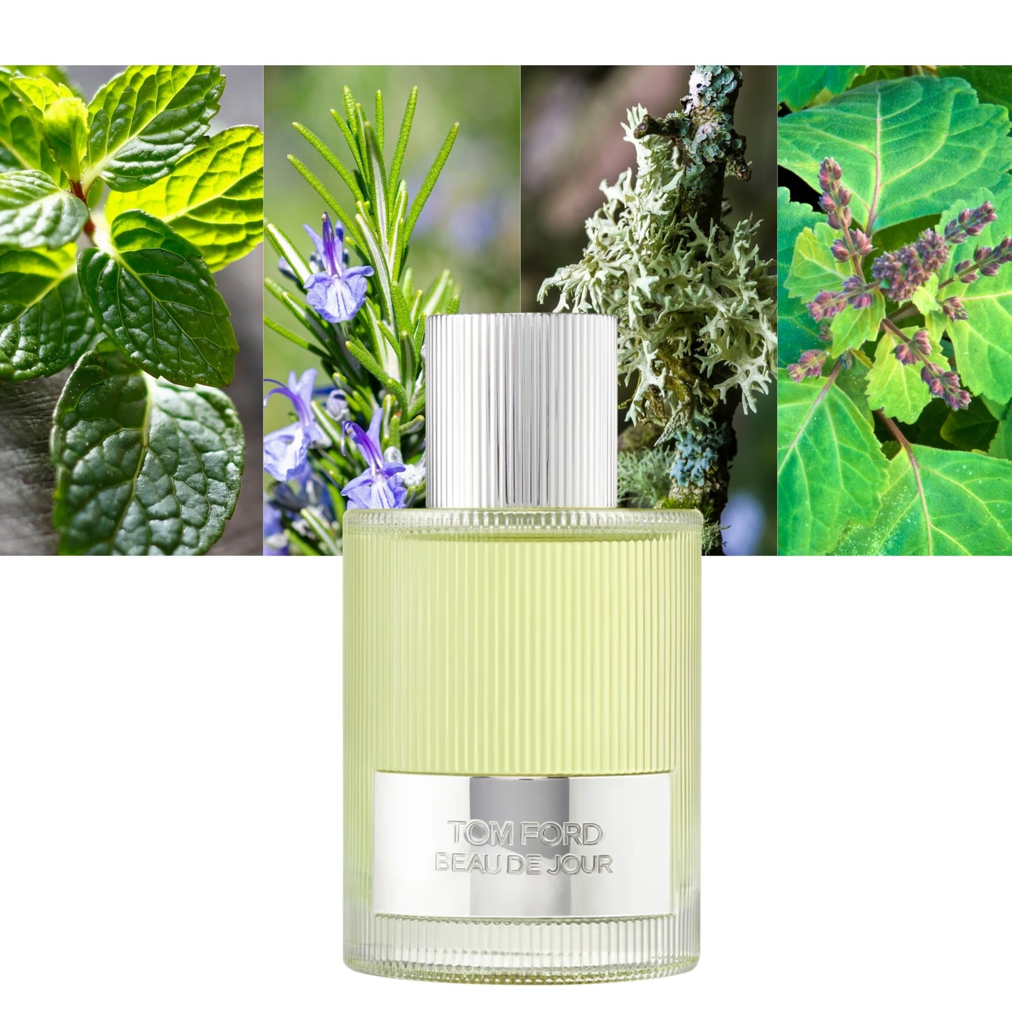 Beau de Jour - Decant / Full Bottle