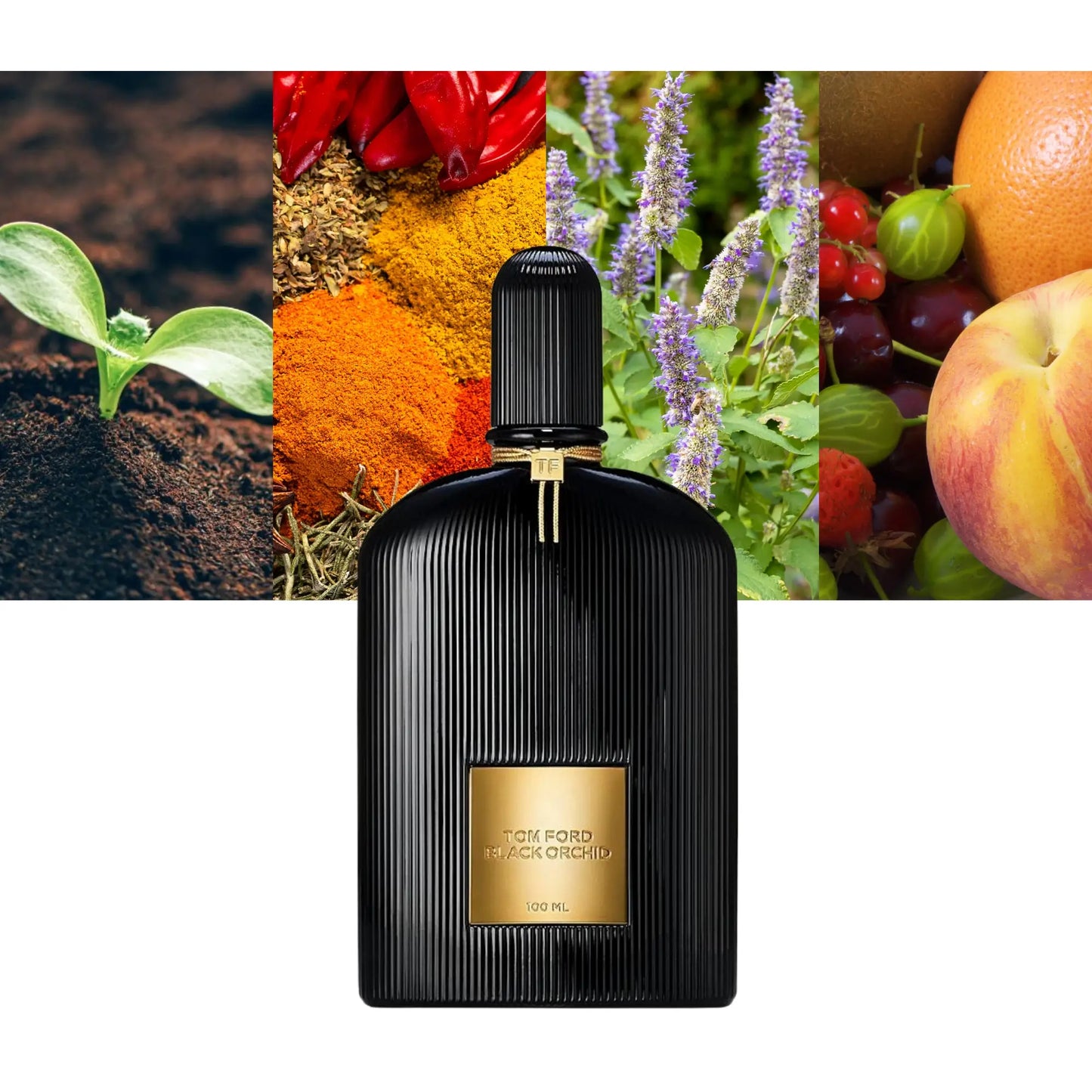 Black Orchid EDP - Decant / Full Bottle