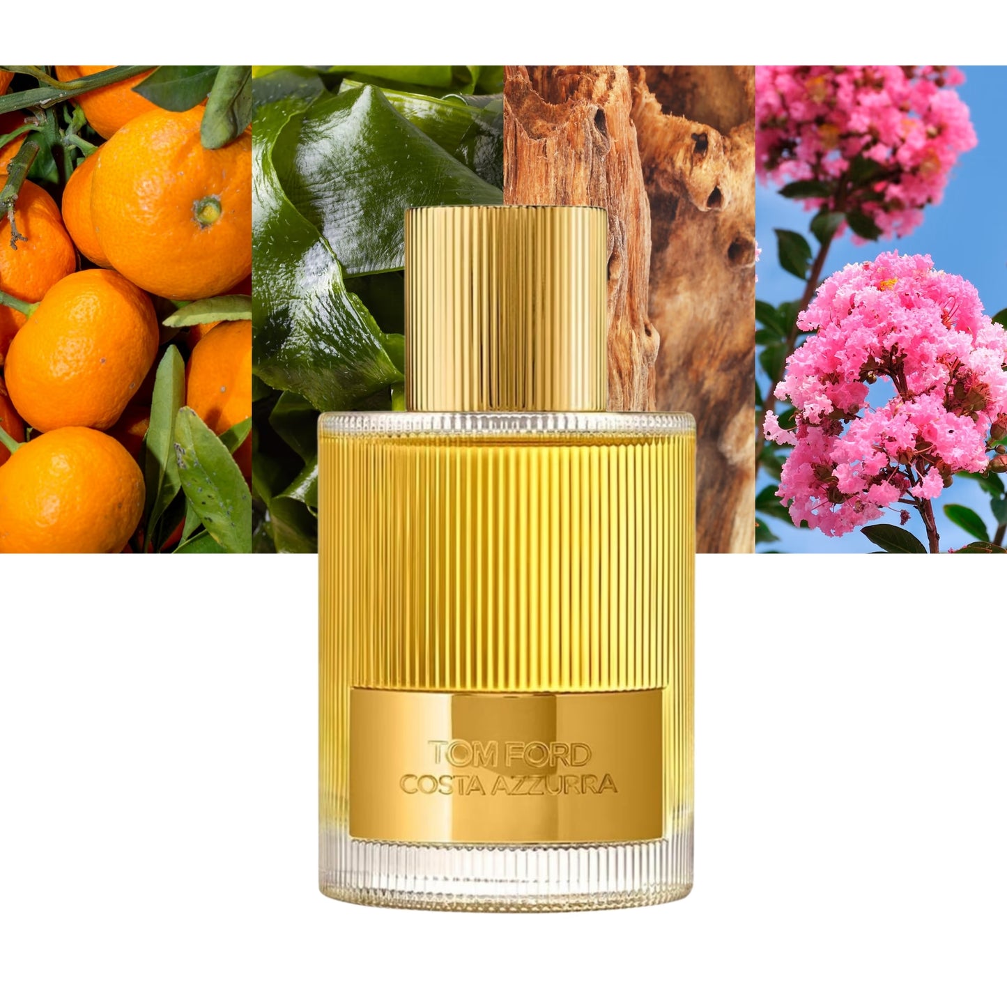 Costa Azzurra EDP - Decant / Full Bottle