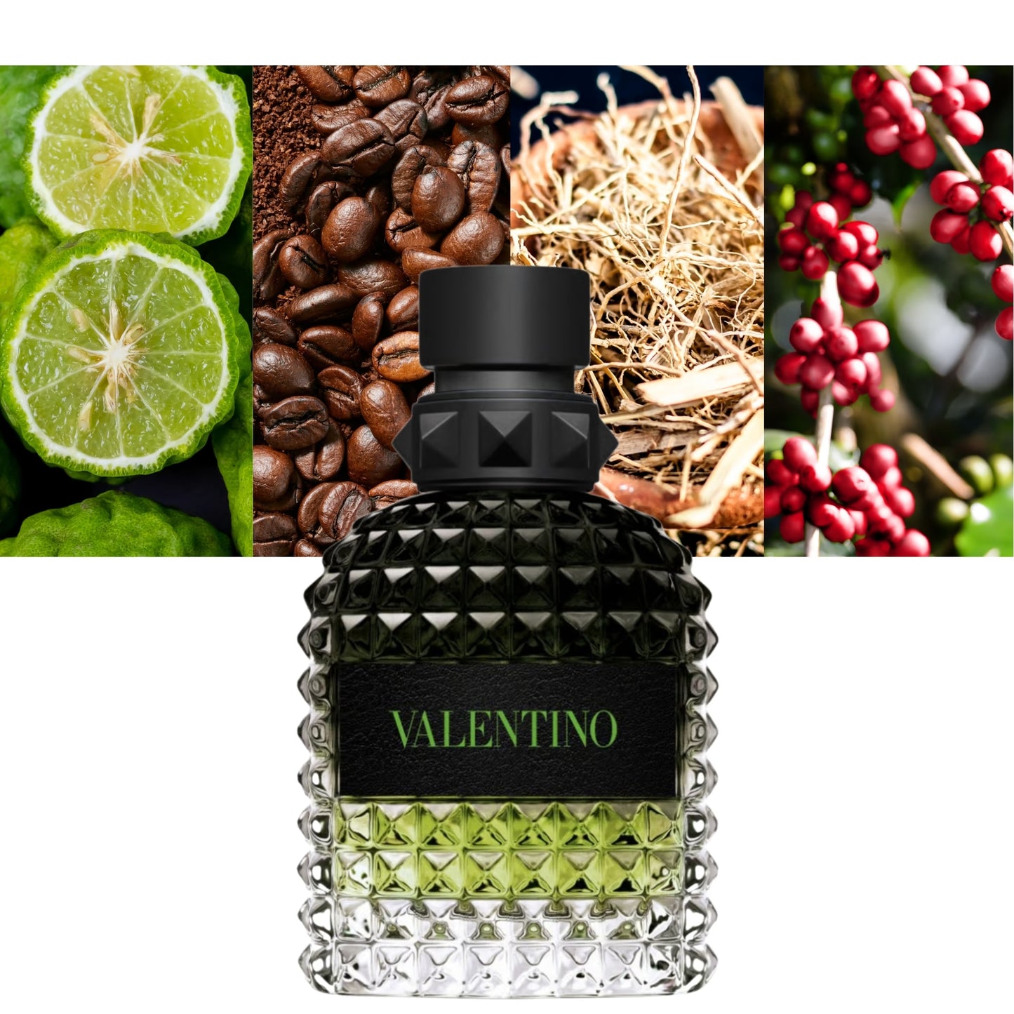 Uomo Born in Roma Green Stravaganza - Decant / Sample