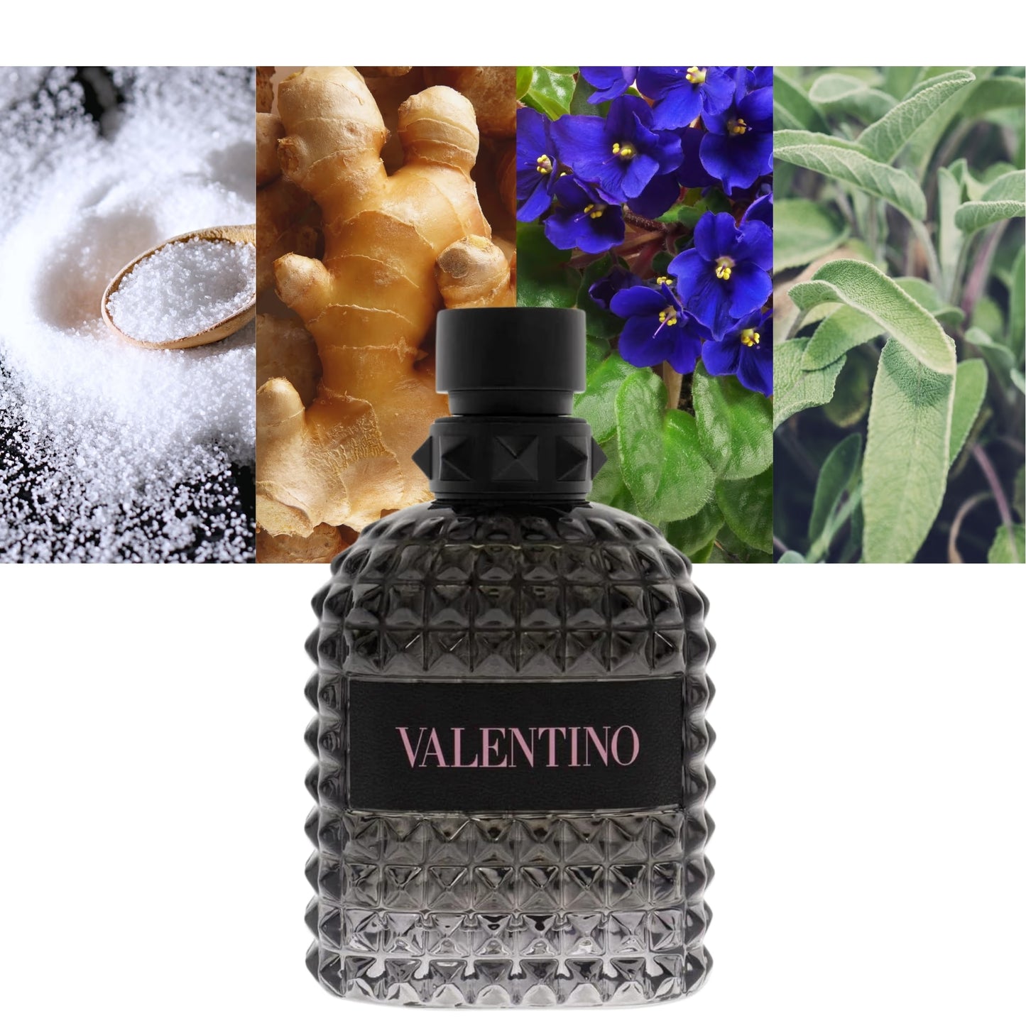 Uomo Born in Roma EDT - Decant / Sample