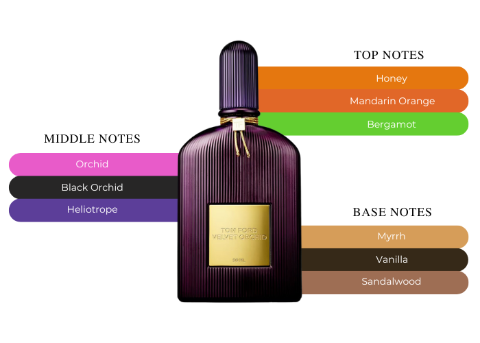 Velvet Orchid by Tom Ford - Decant / Sample