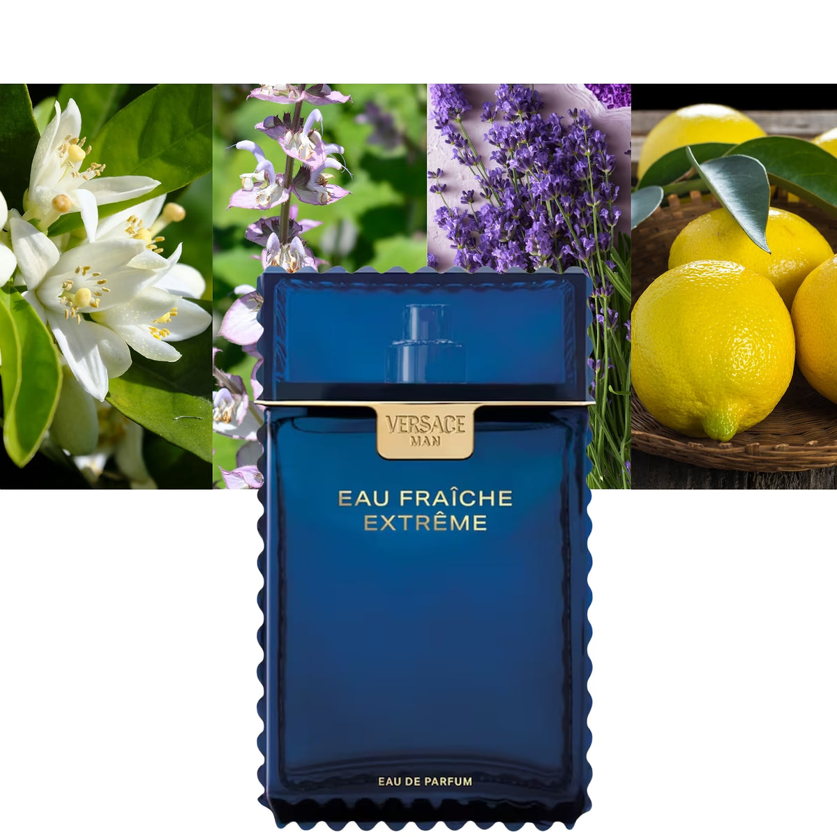 Eau Fraiche Extreme EDP - Decant / Full Bottle