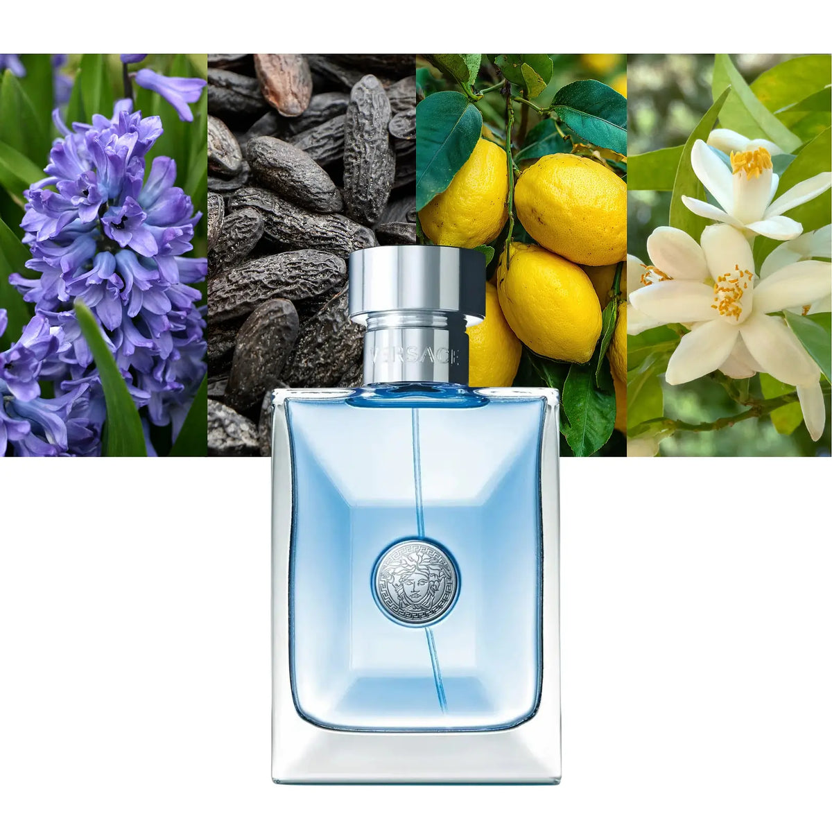 Versace Pour Homme - Decant / Full Bottle
