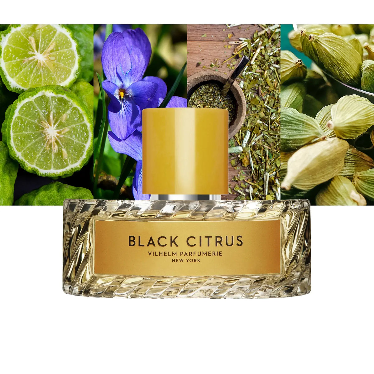 Black Citrus - Decant / Full Bottle