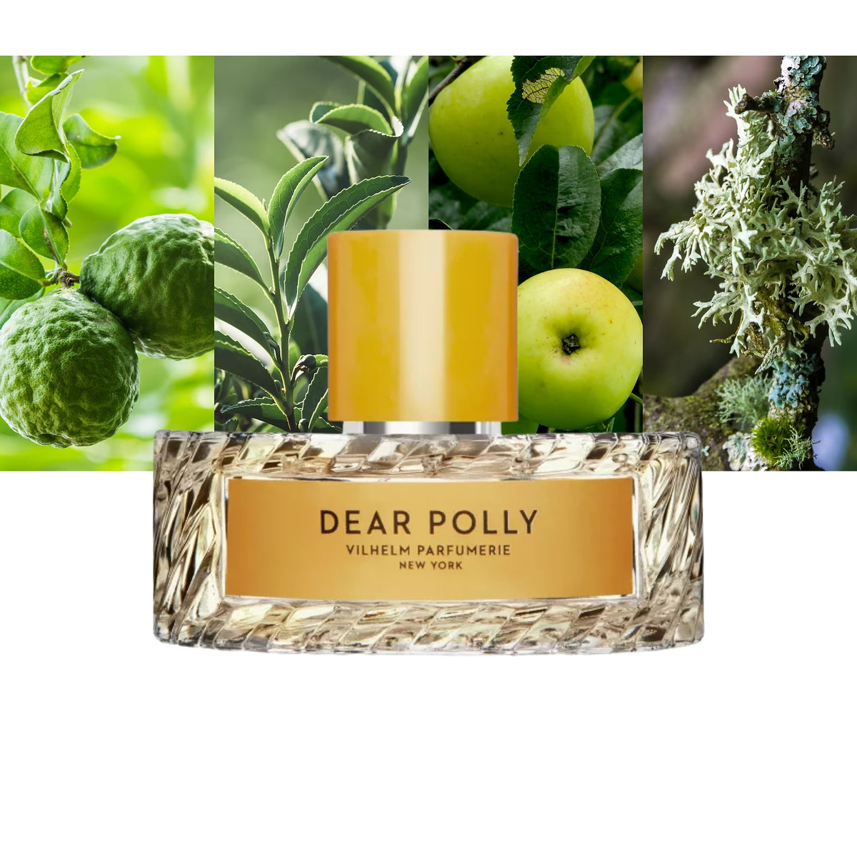 Dear Polly - Decant / Full Bottle