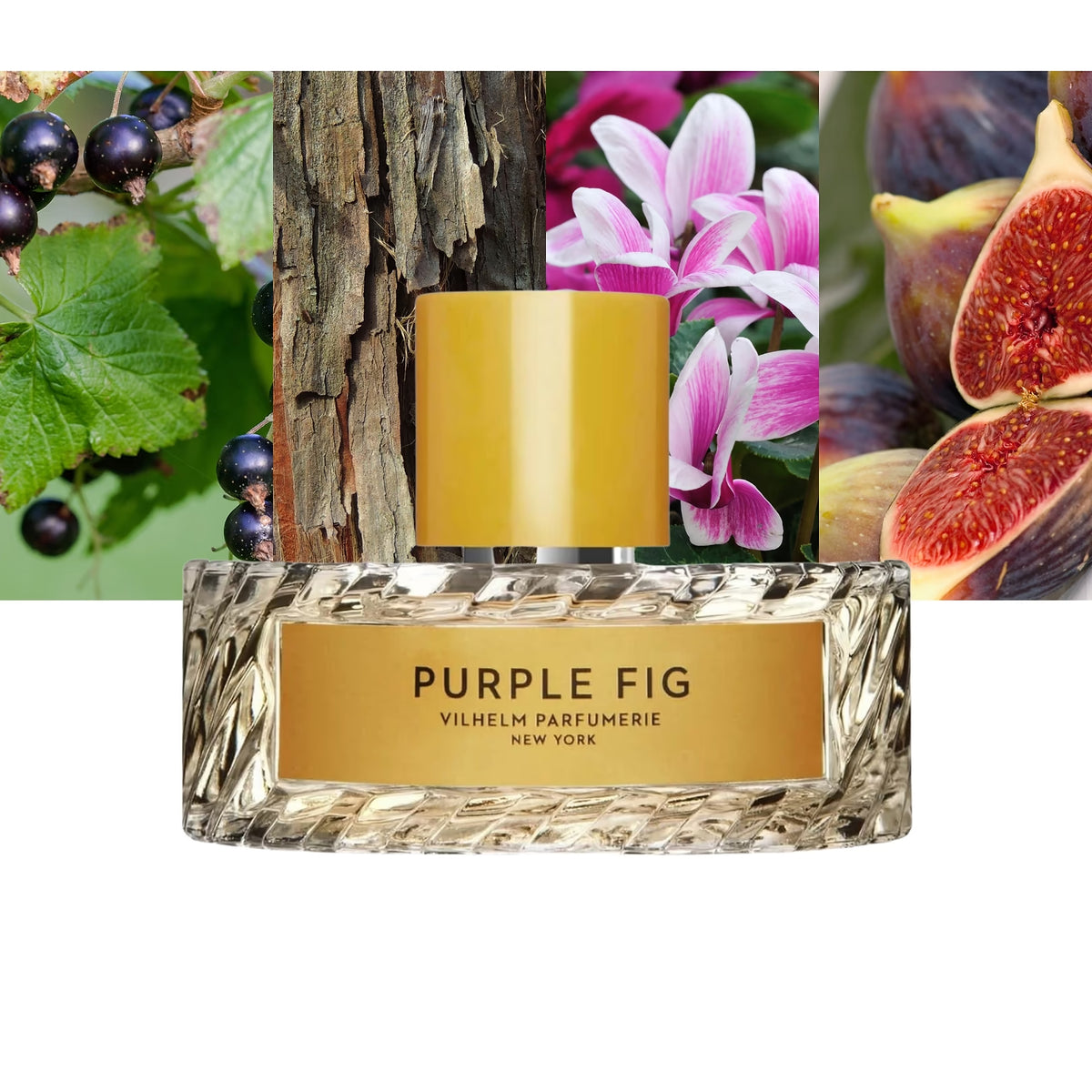 Purple Fig - Decant / Full Bottle