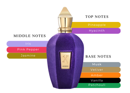 Accento EDP - Decant / Full Bottle