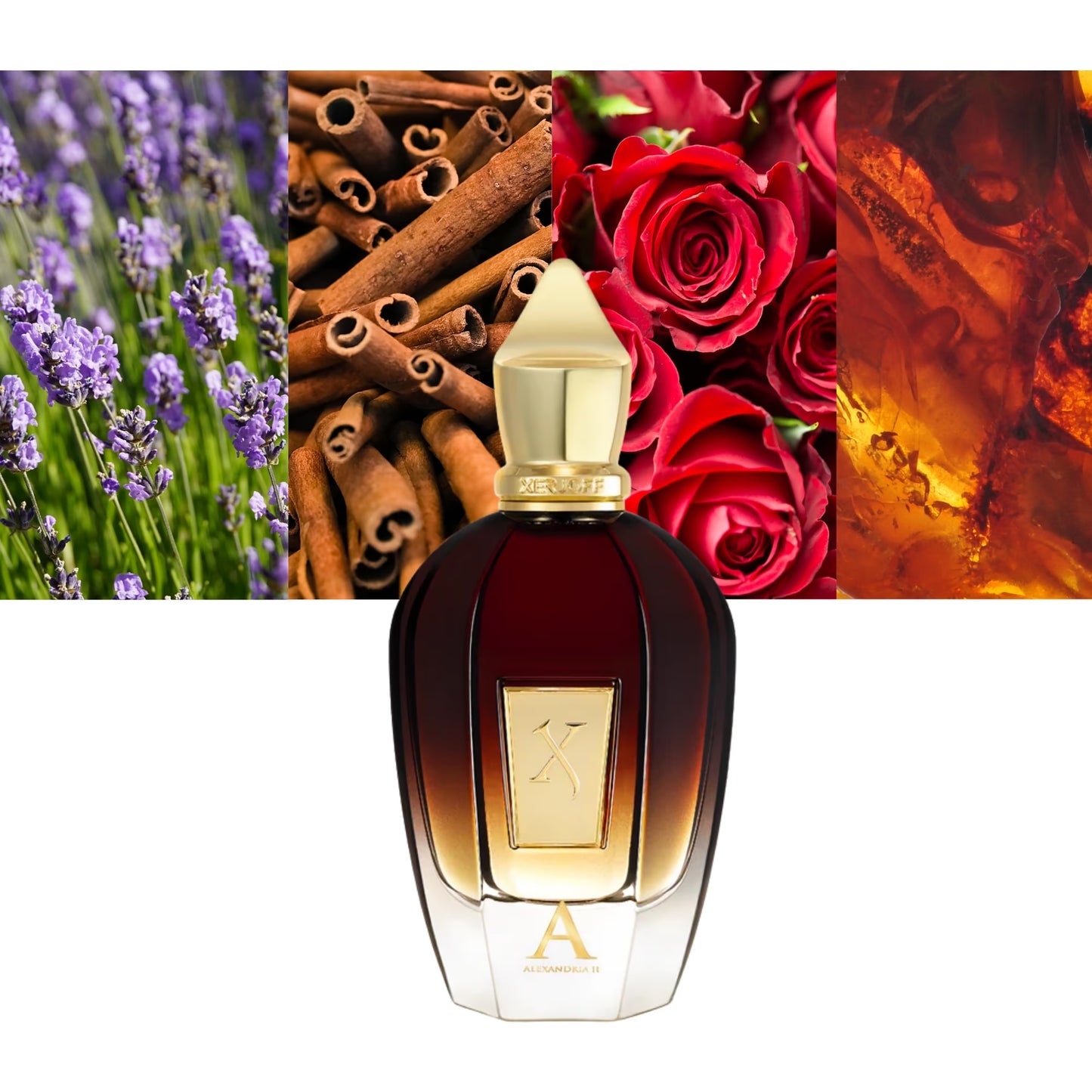 Alexandria II - Decant / Full Bottle