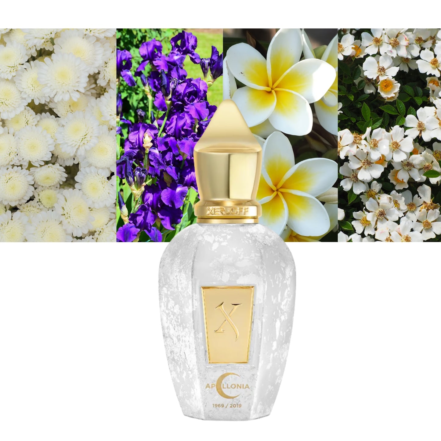Apollonia - Decant / Full Bottle