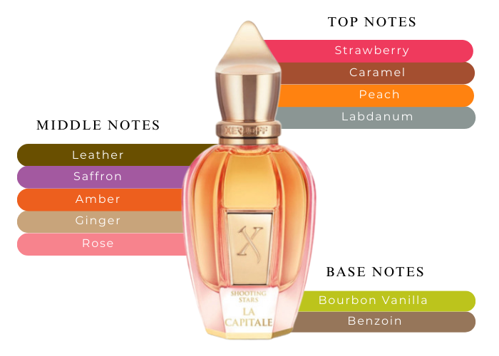 La Capitale by Xerjoff - Decant / Sample