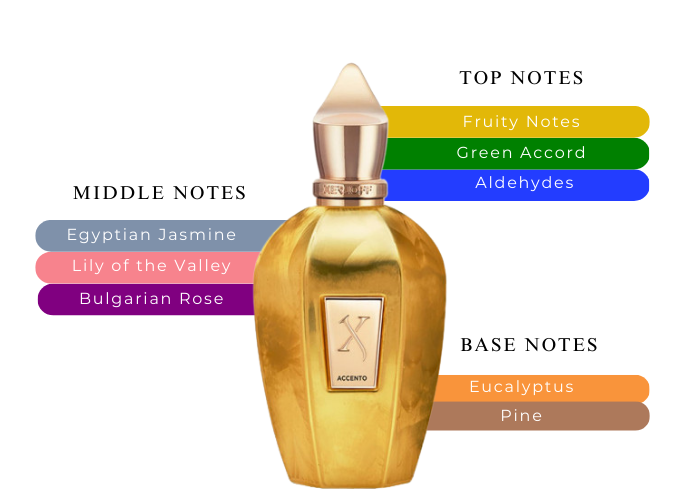 Accento Overdose - Decant / Full Bottle
