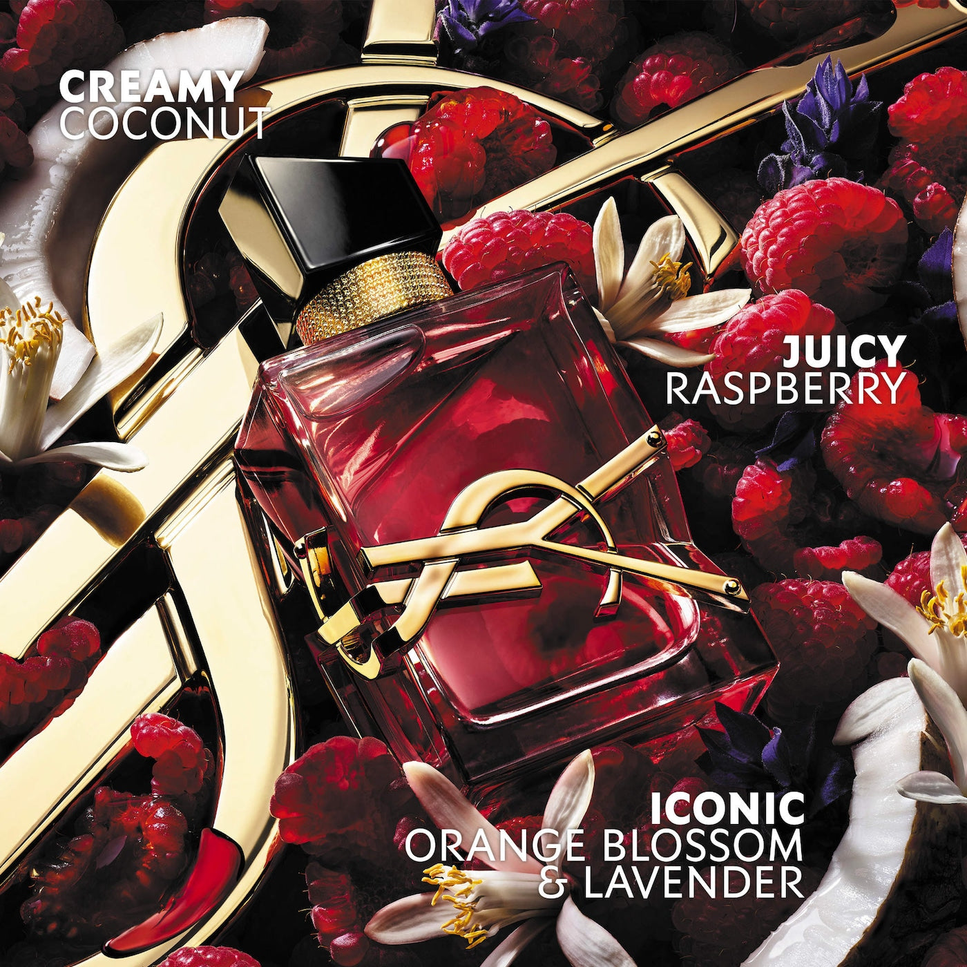 Libre Berry Crush 2026 - Decant / Sample