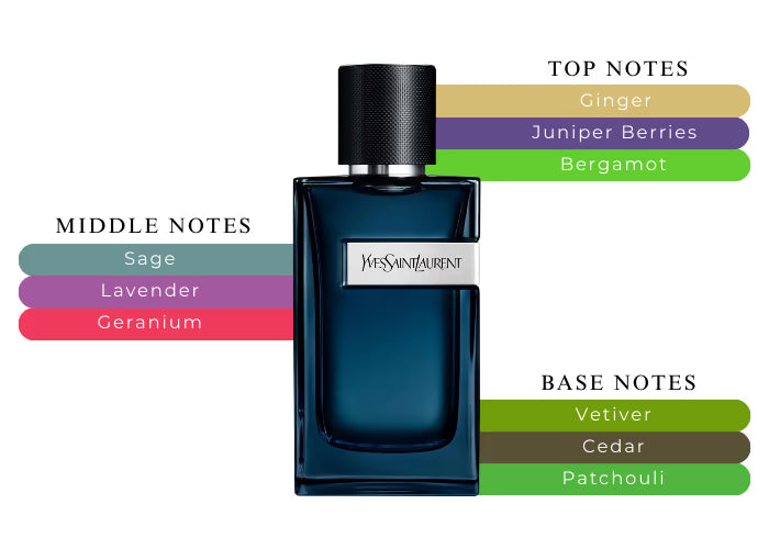 Y EDP Intense by YSL - Decant / Sample