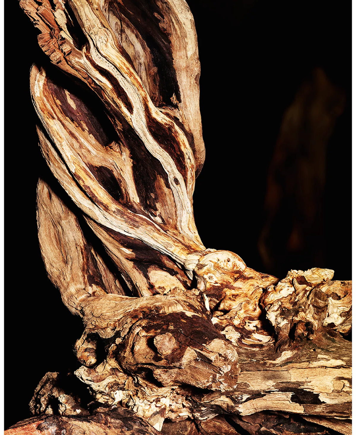 YSL Cuir Sublime Oud - Decant / Sample