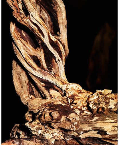 YSL Cuir Sublime Oud - Decant / Sample