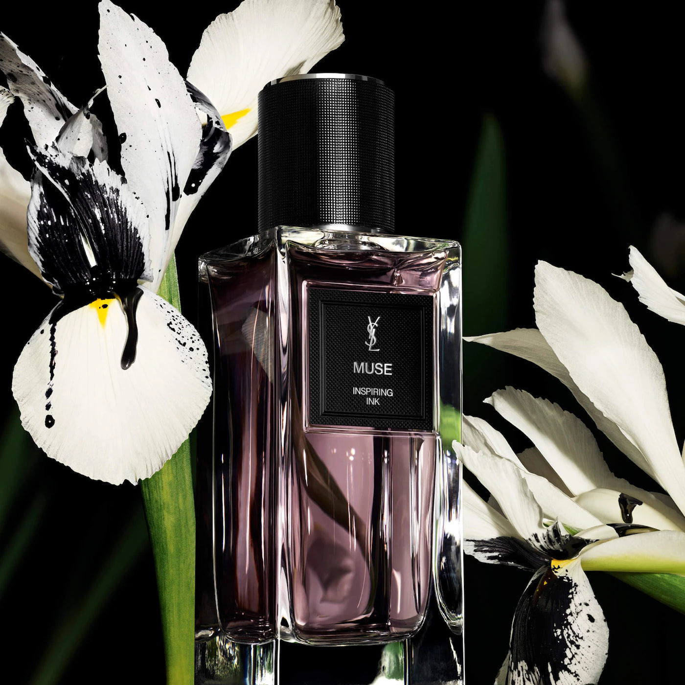 YSL Muse - Decant / Sample