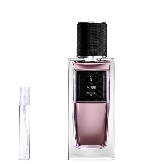 YSL Muse - Decant / Sample