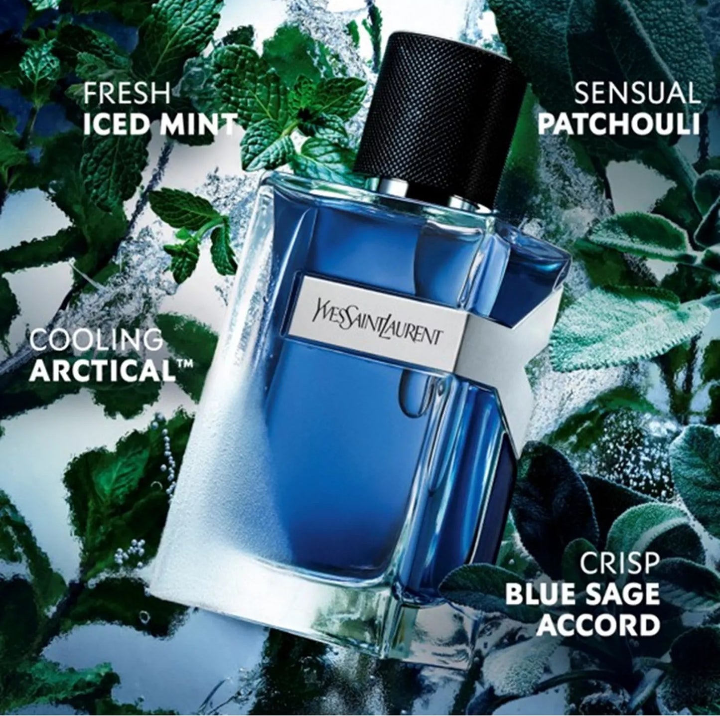 Y Iced Cologne Intense - Decant / Sample