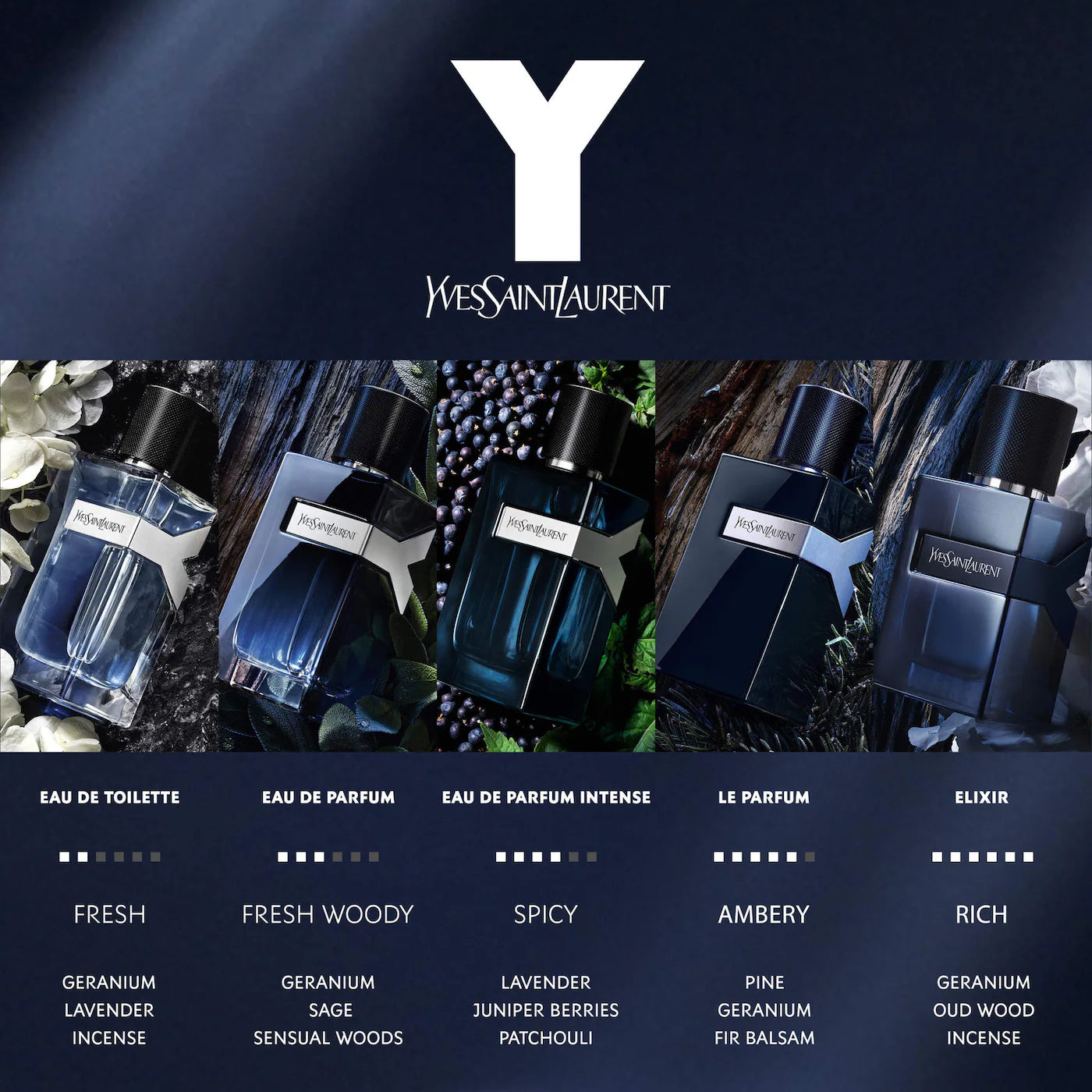 Y Discovery Set (5x Versions) - Decant / Sample