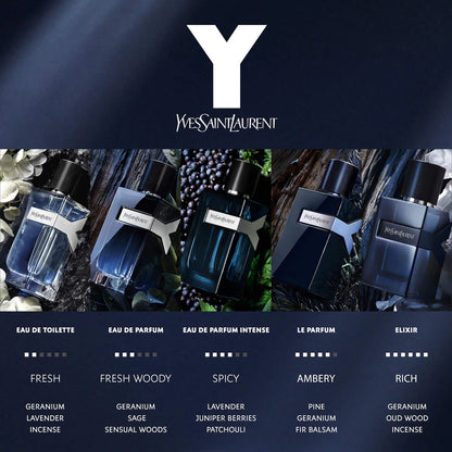 Y Discovery Set (5x Versions)
